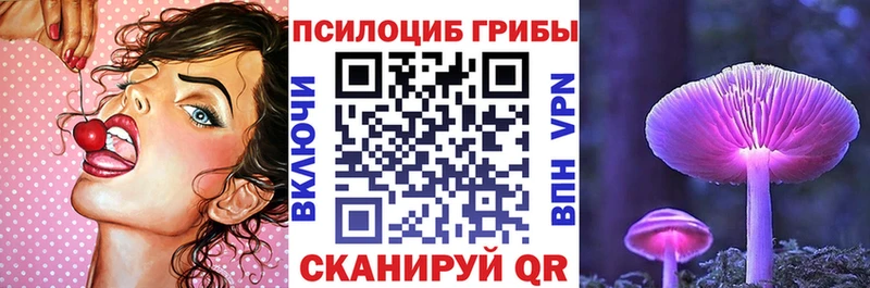Купить закладки  Обнинск  Псилоцибиновые грибы прущие грибы 